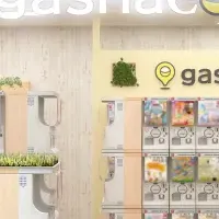 高崎にgashacoco誕生