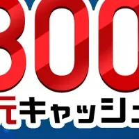 300万円還元キャンペーン