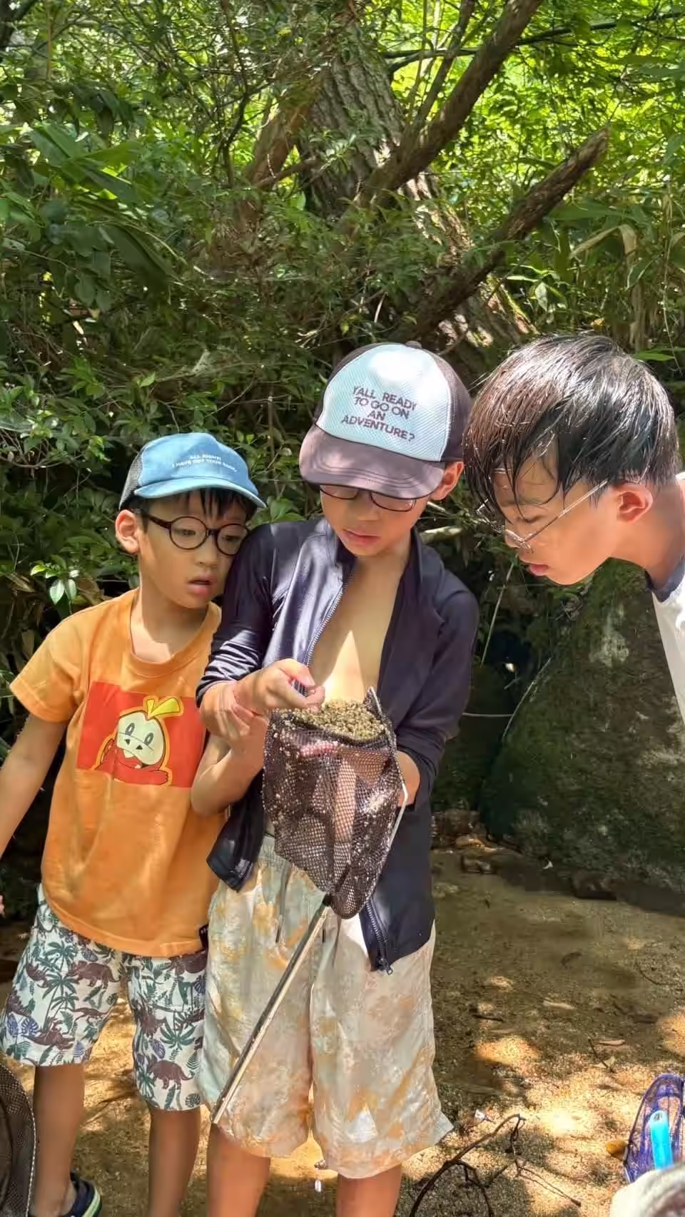 画像6