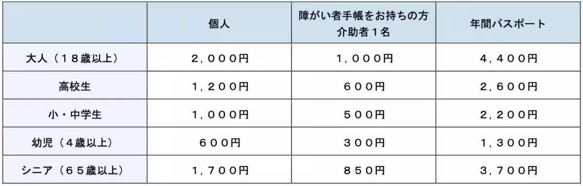 画像11