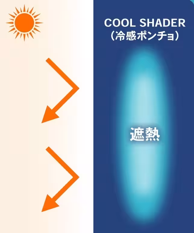 画像15
