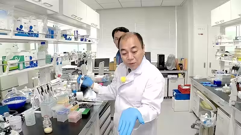画像6