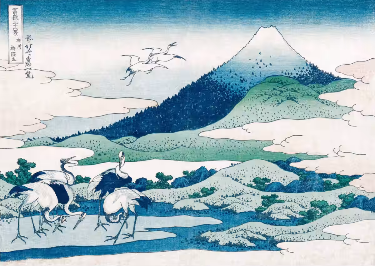 画像7