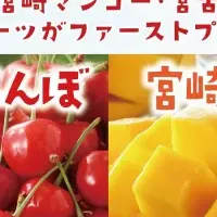 贅沢フルーツを堪能