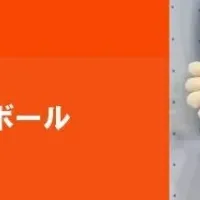 長岡市民DAYの魅力