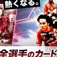フッコレ新シーズン
