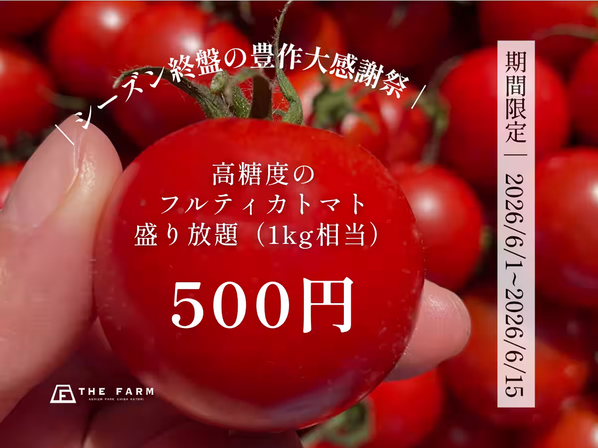 画像11