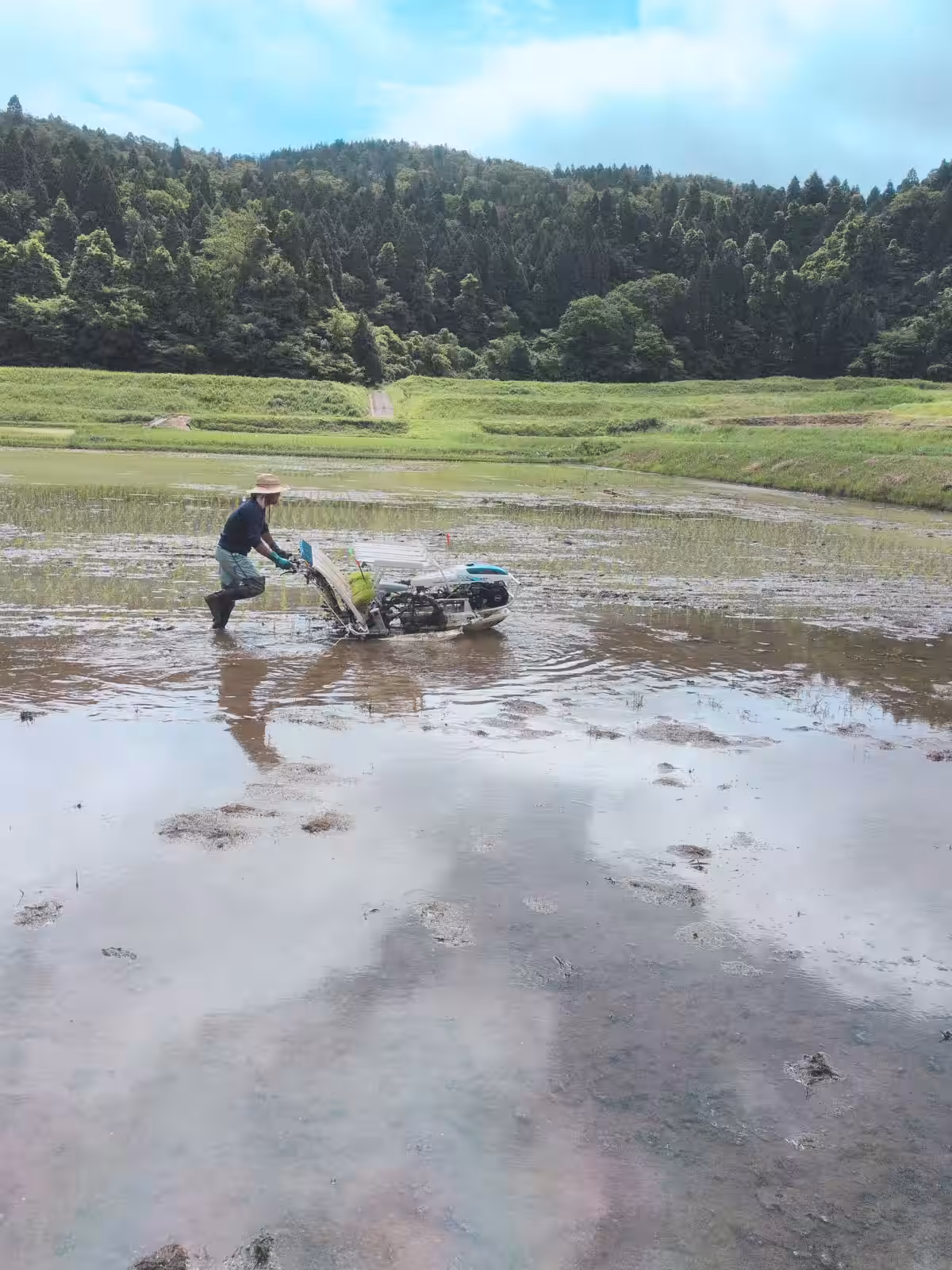 画像9