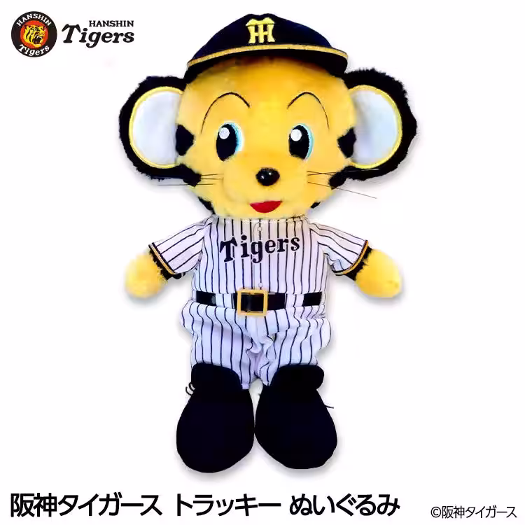 画像8