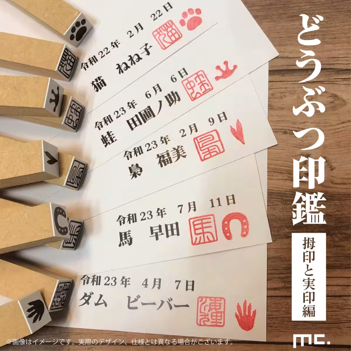 画像15