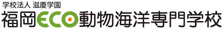 画像12