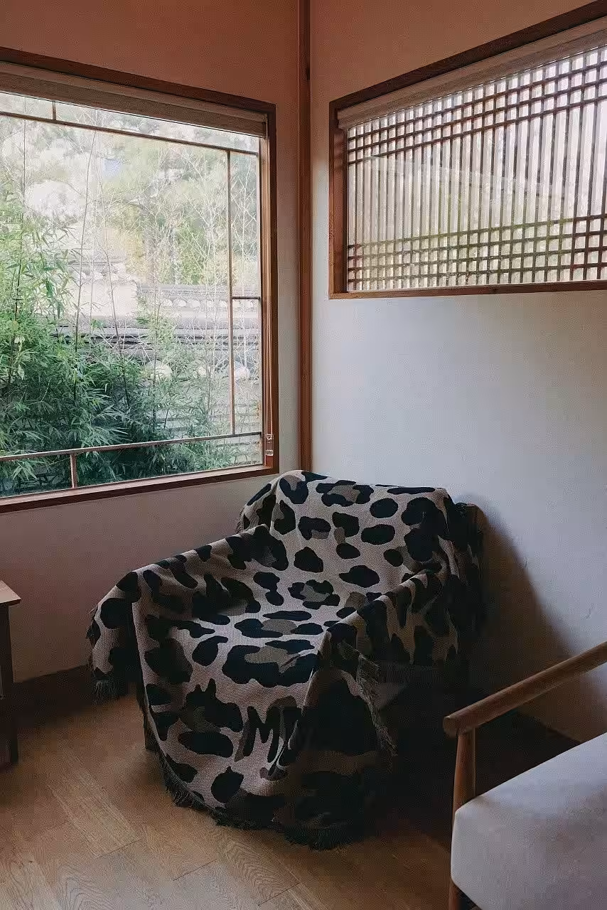 画像19
