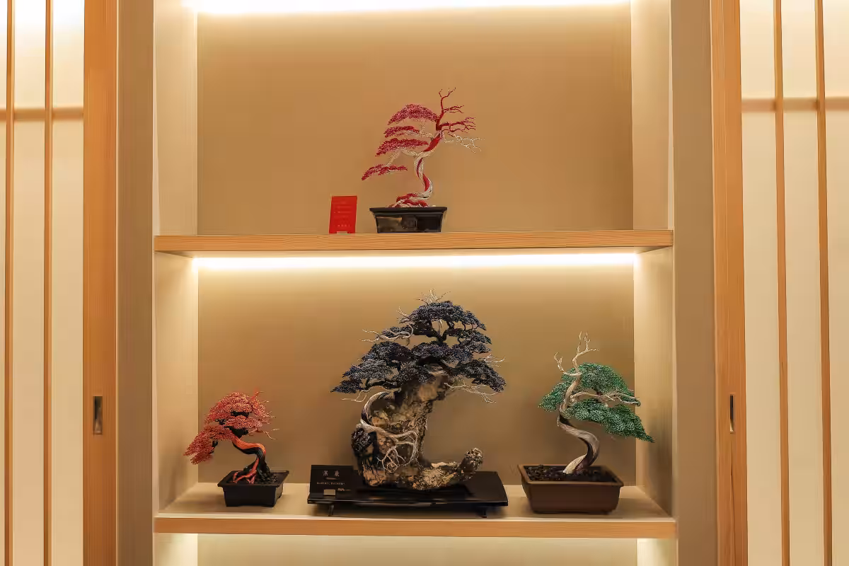 画像14