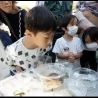 イオンのいきもの調査