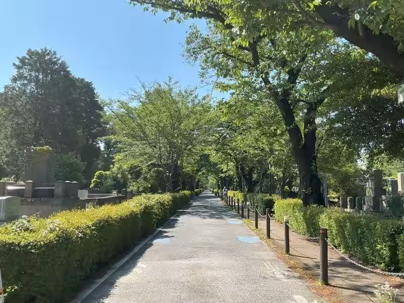 画像3