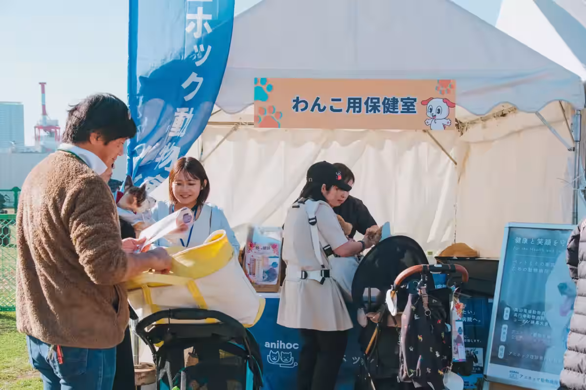 画像8