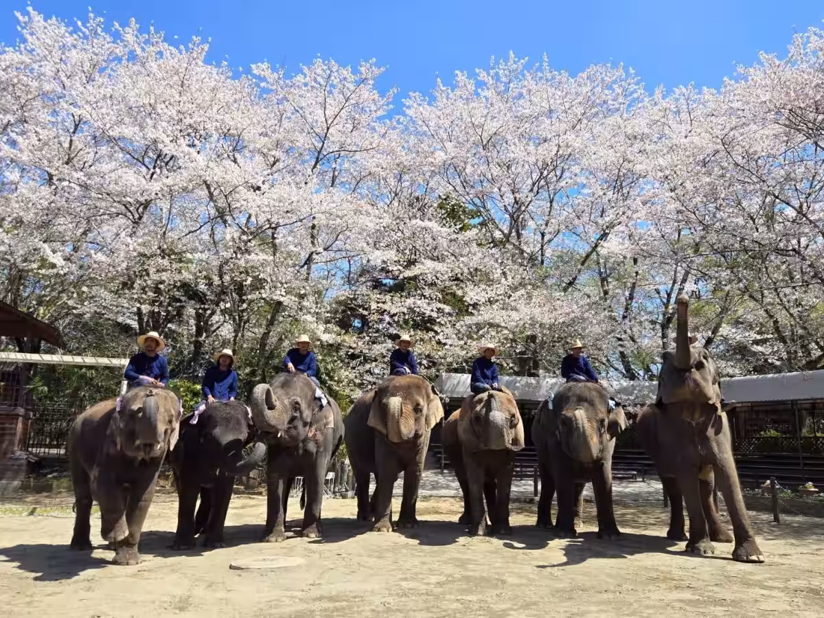 画像7