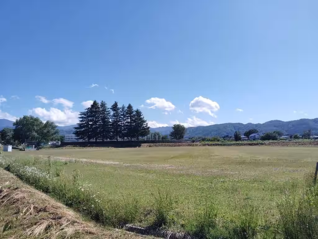 画像8