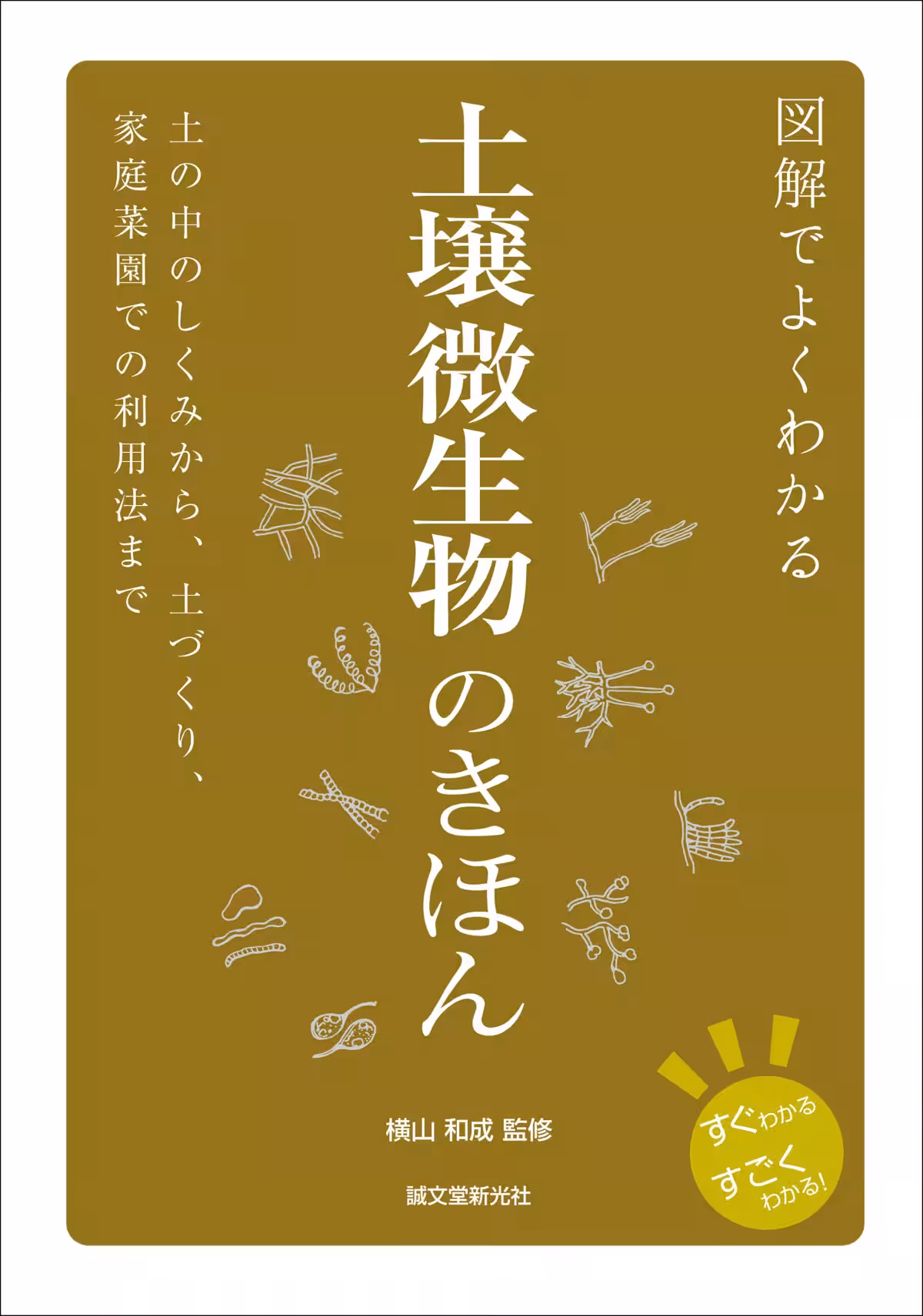 画像11