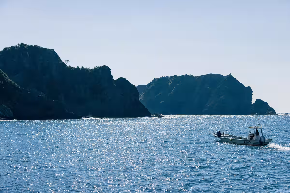 画像11