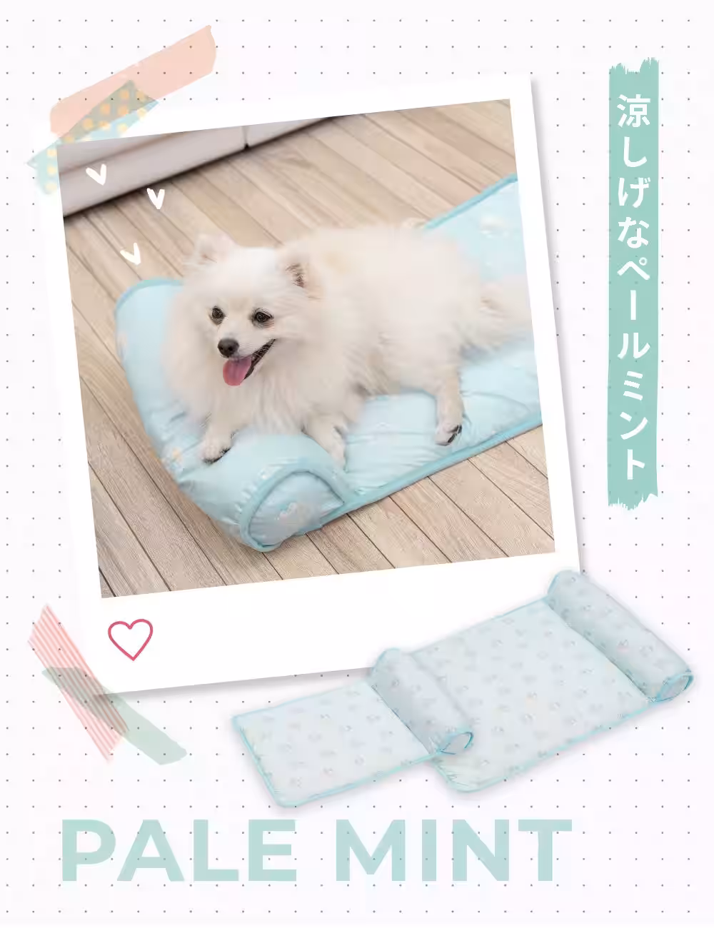画像10
