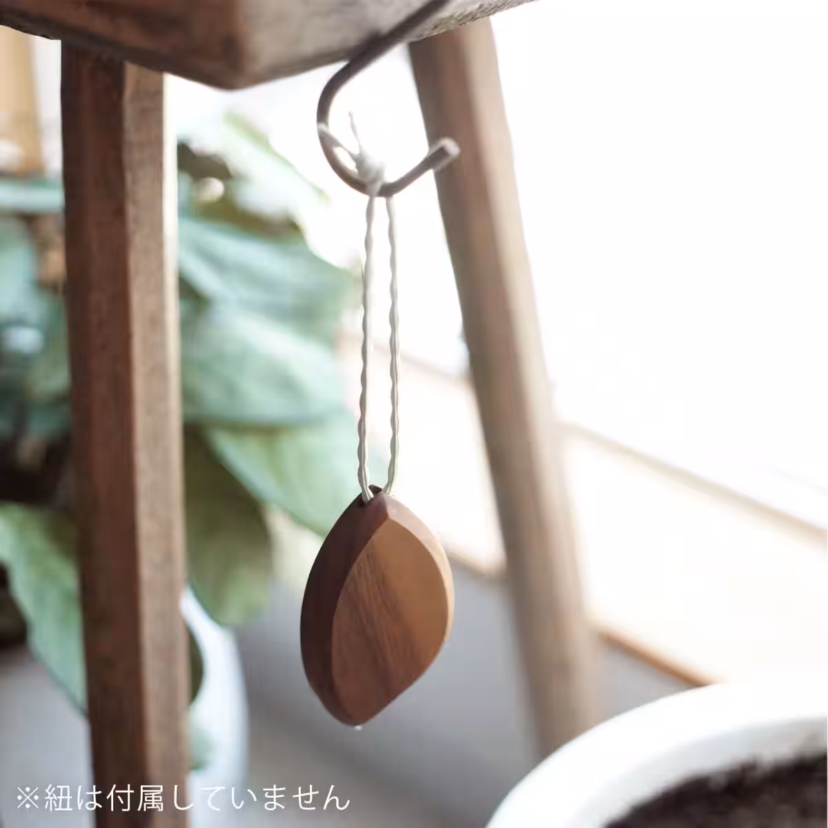 画像14