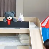 家全体がアトラクション