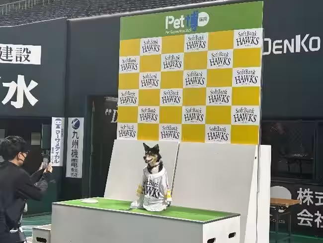 画像9