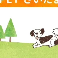 さいたま譲渡会