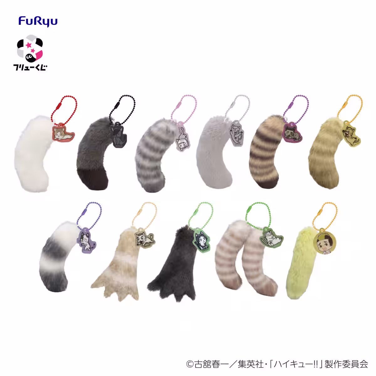 画像7