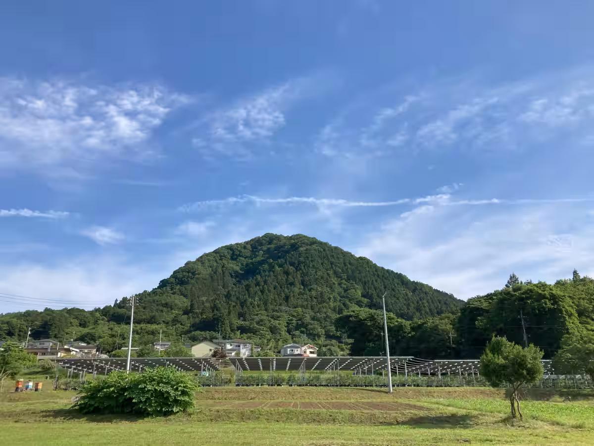 画像6