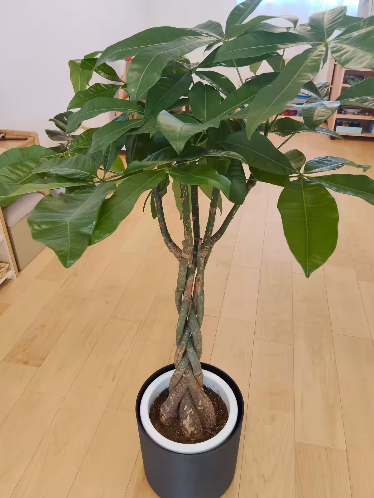 画像5