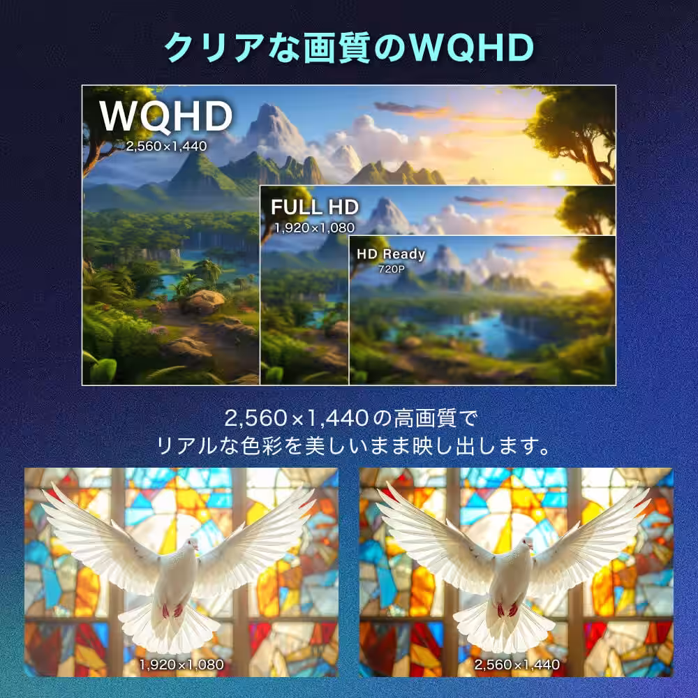 画像9