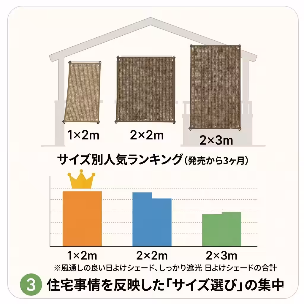 画像12