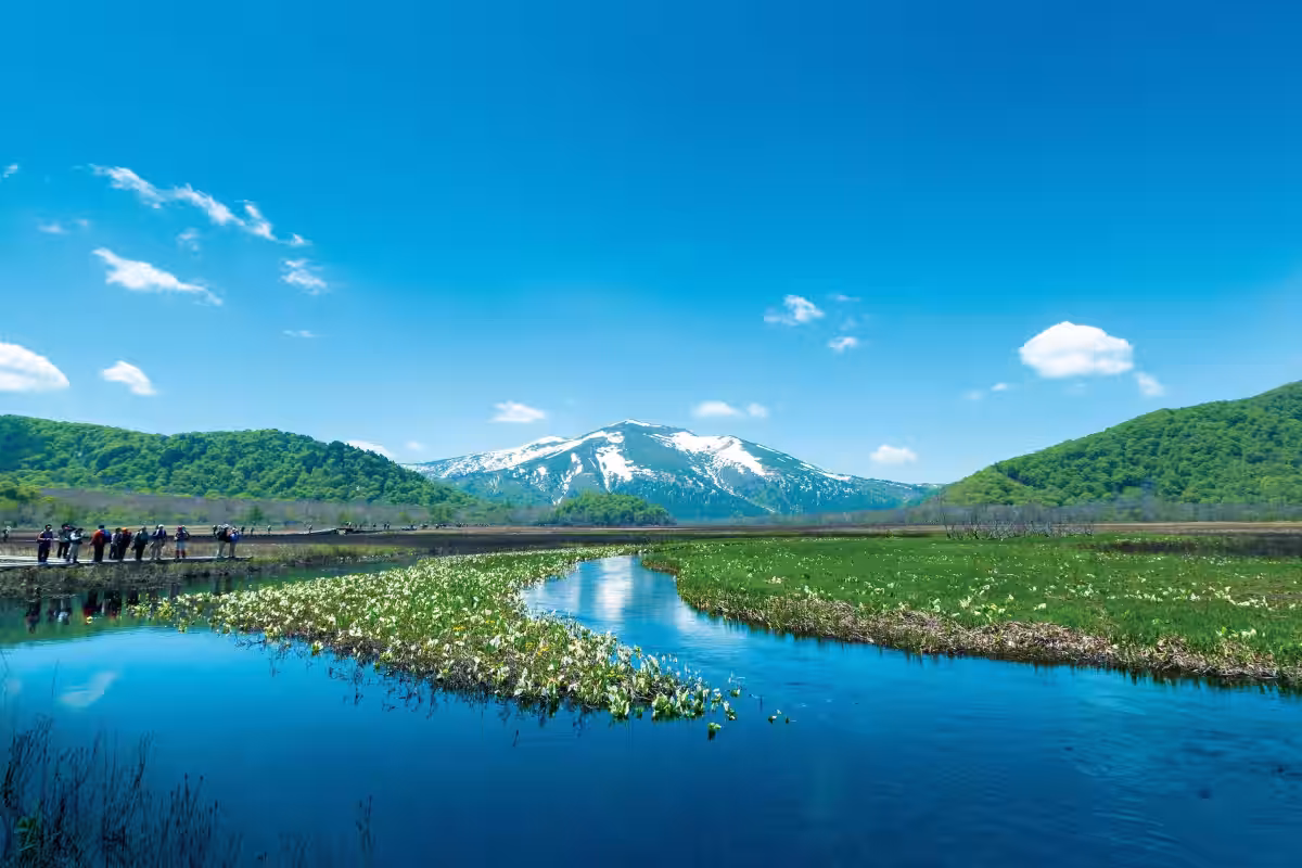 画像14