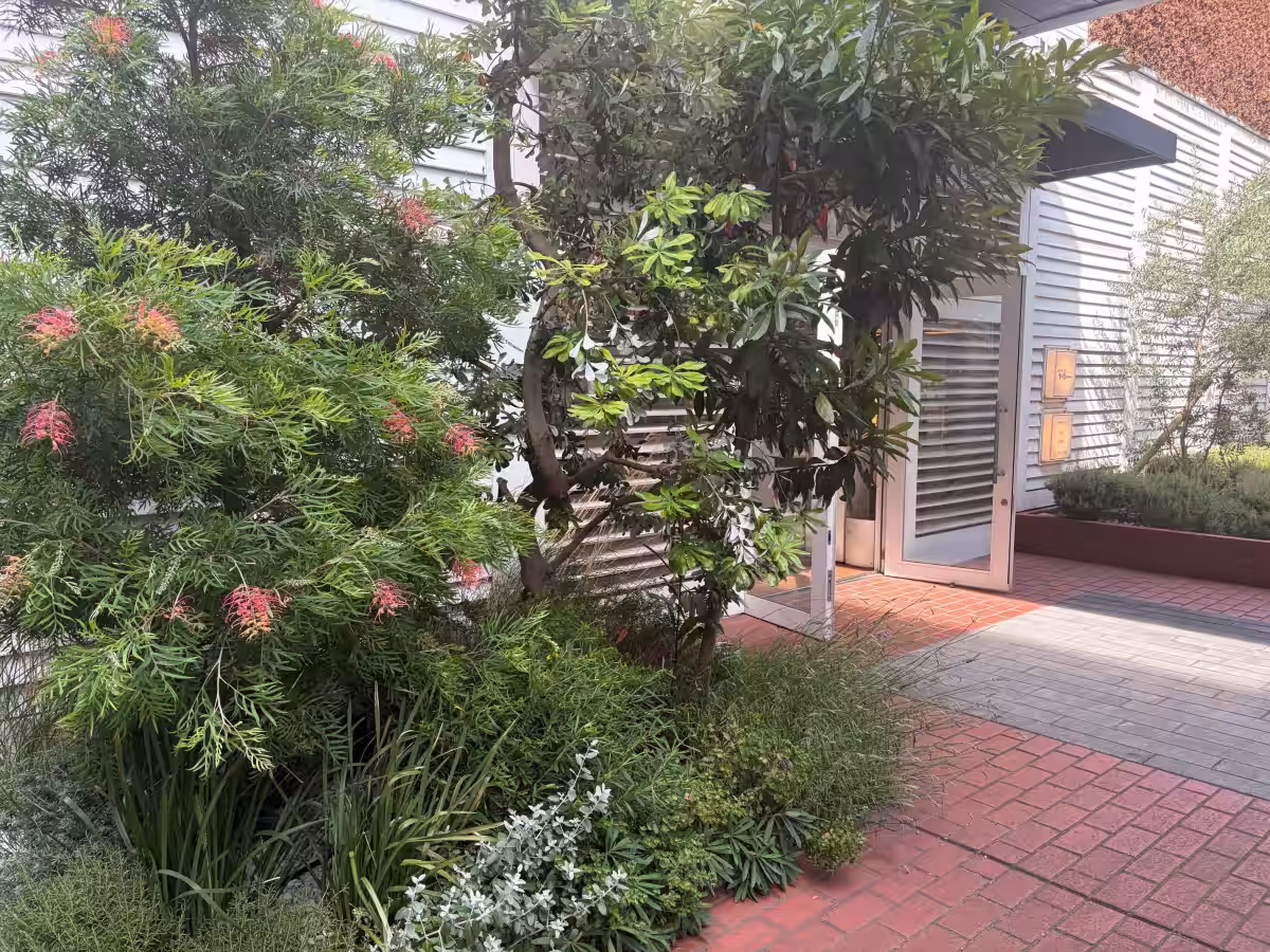 画像16