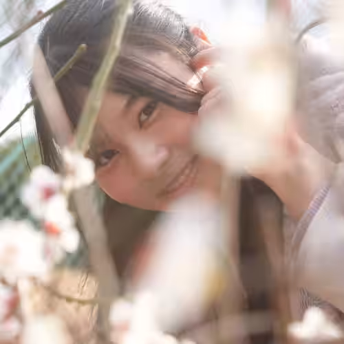 画像12