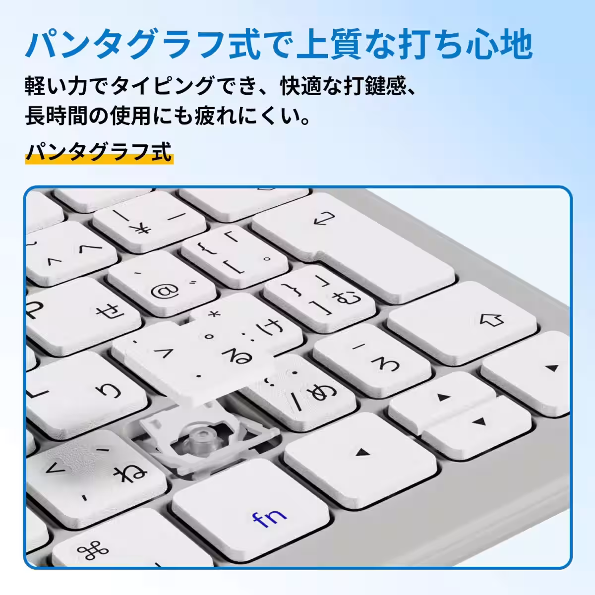 画像9