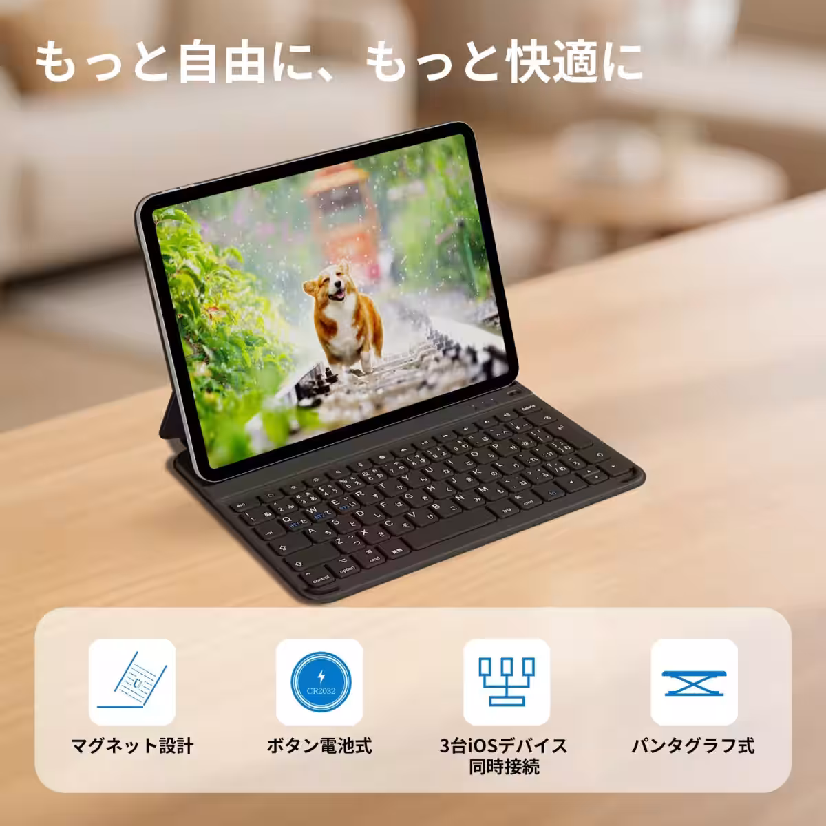 画像4