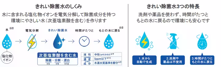 画像12
