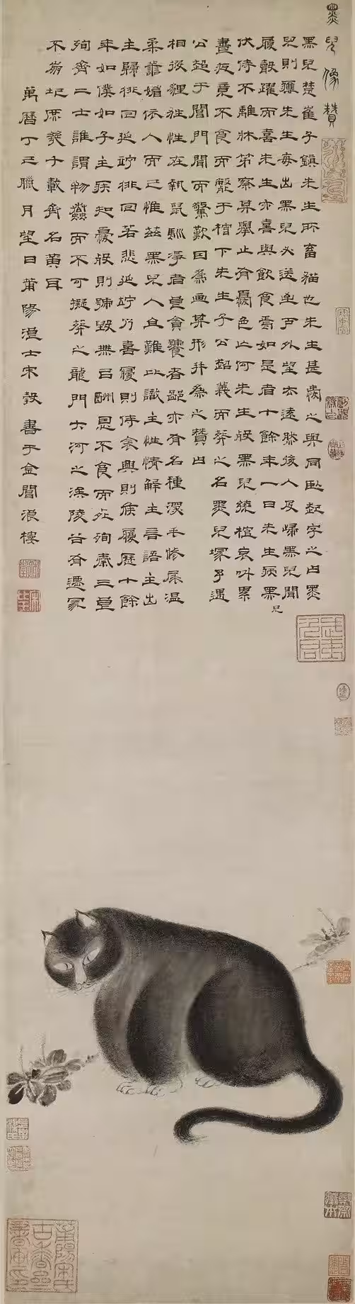 画像10