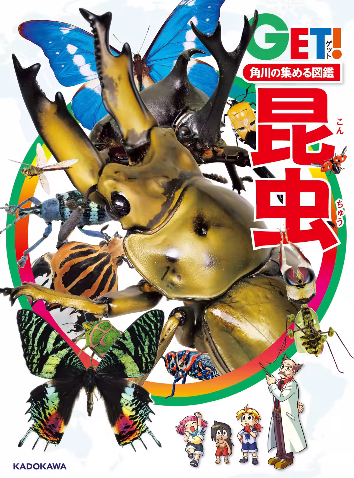 画像7