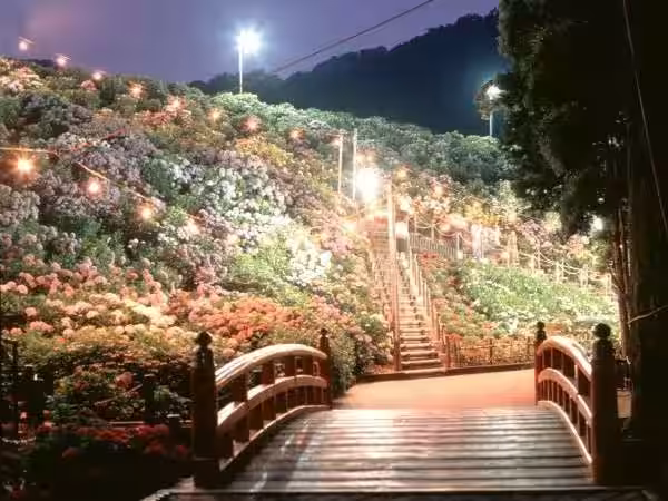 画像11