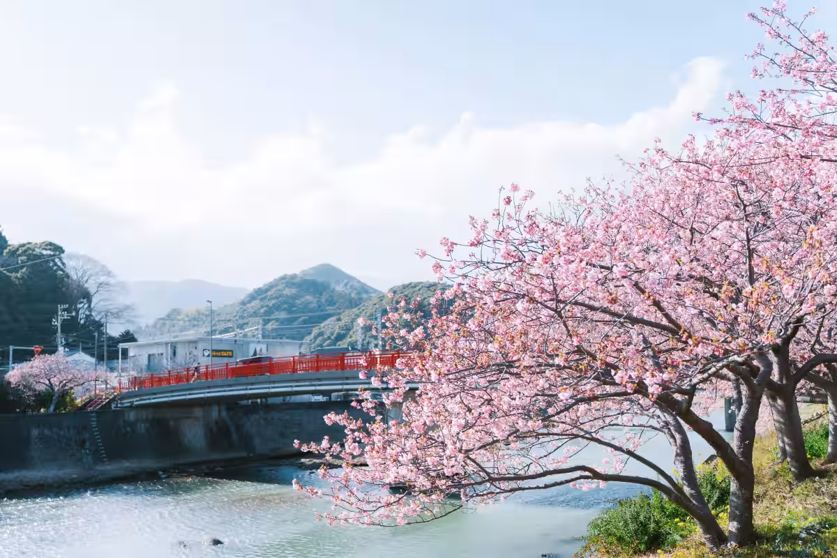 画像11