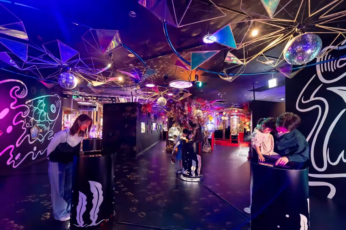 画像4