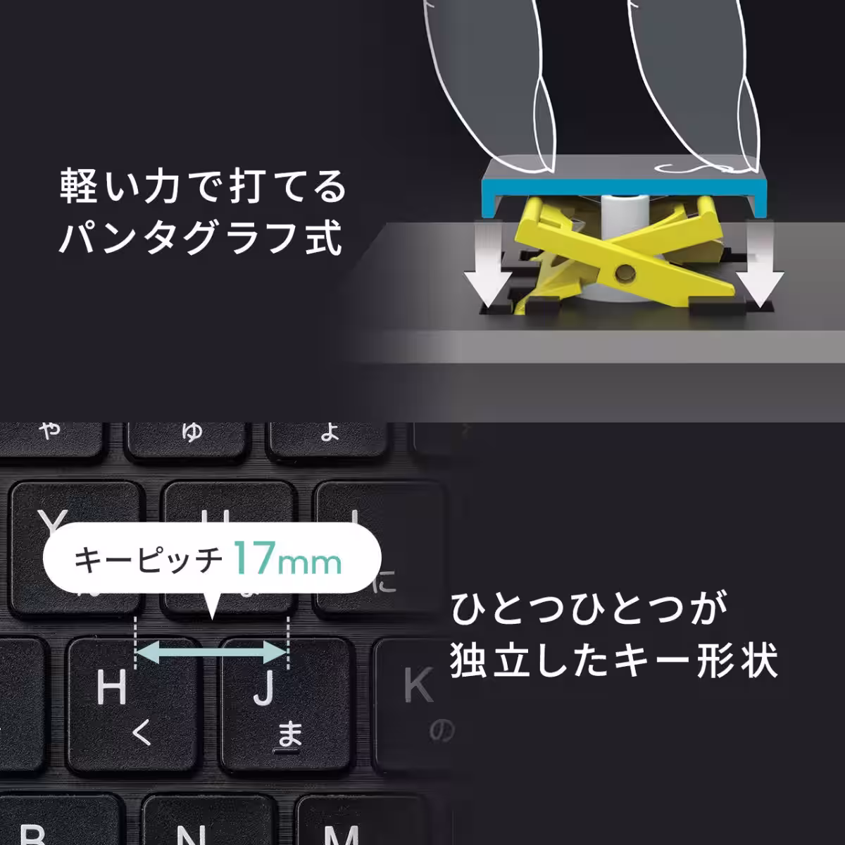 画像14