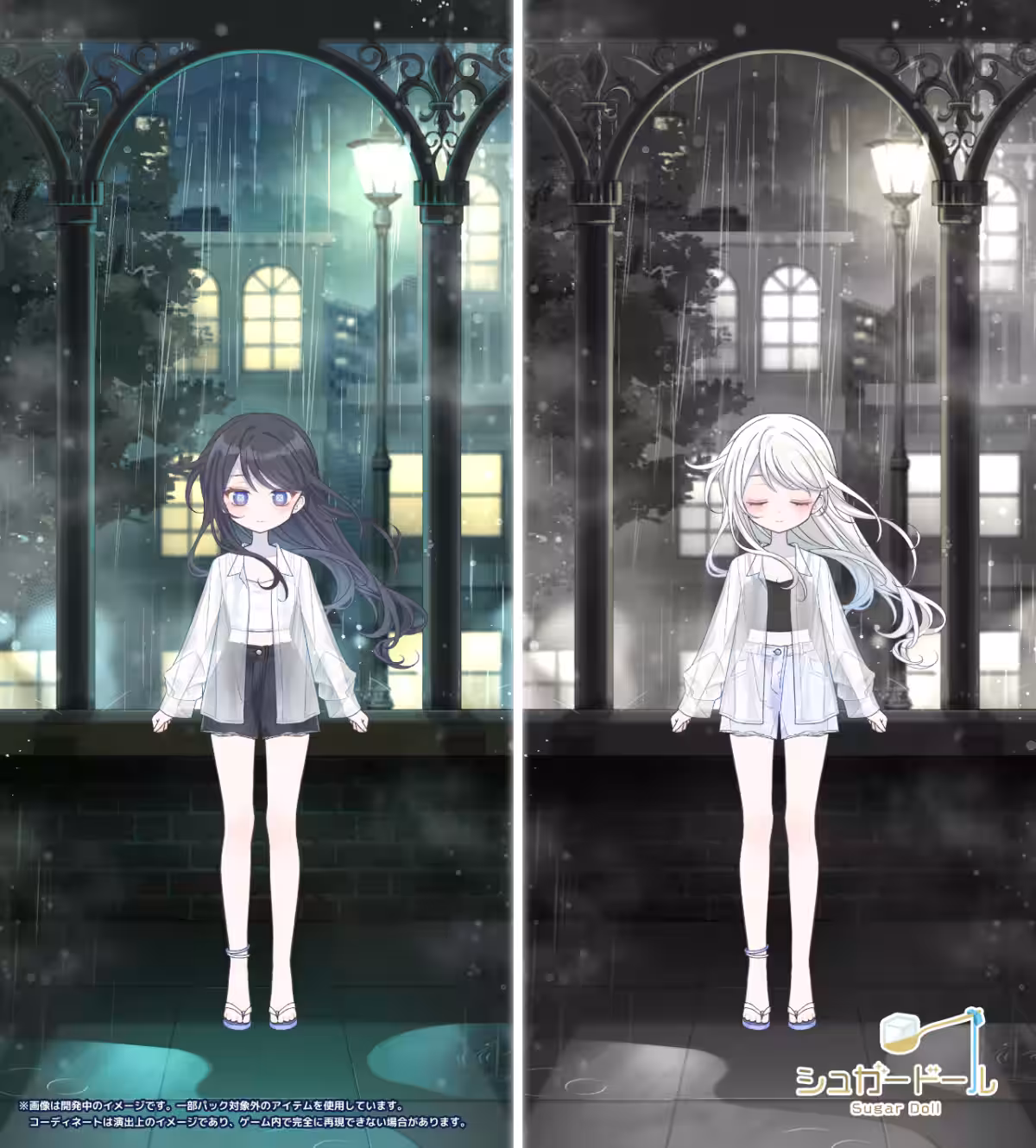 画像4