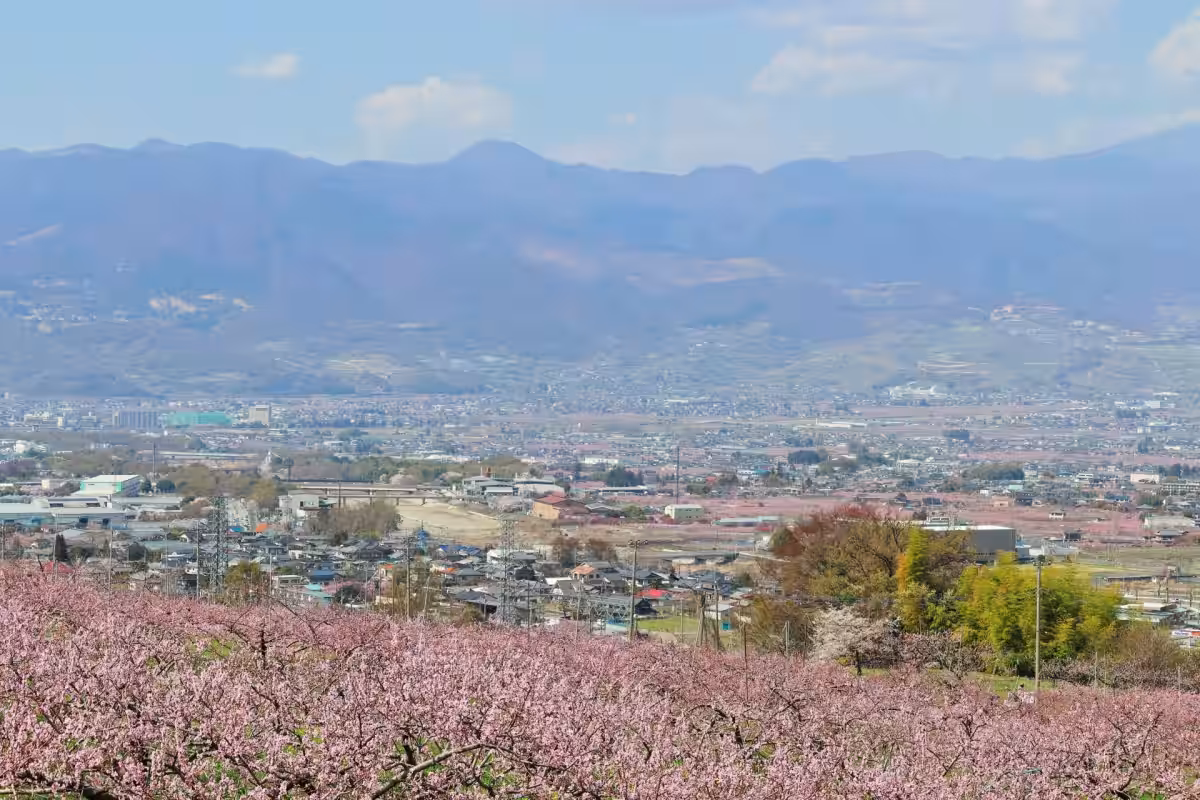 画像4