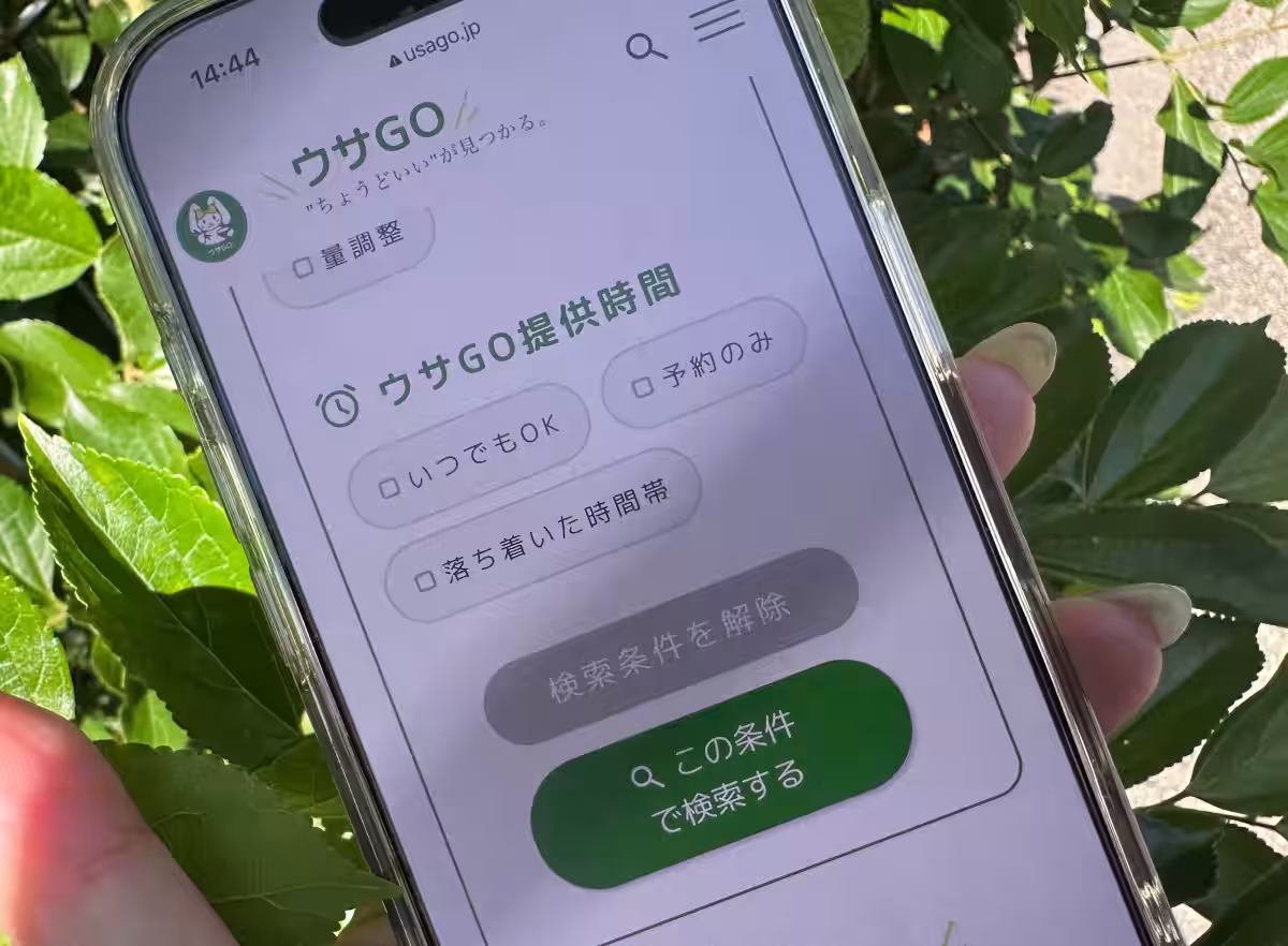 画像15