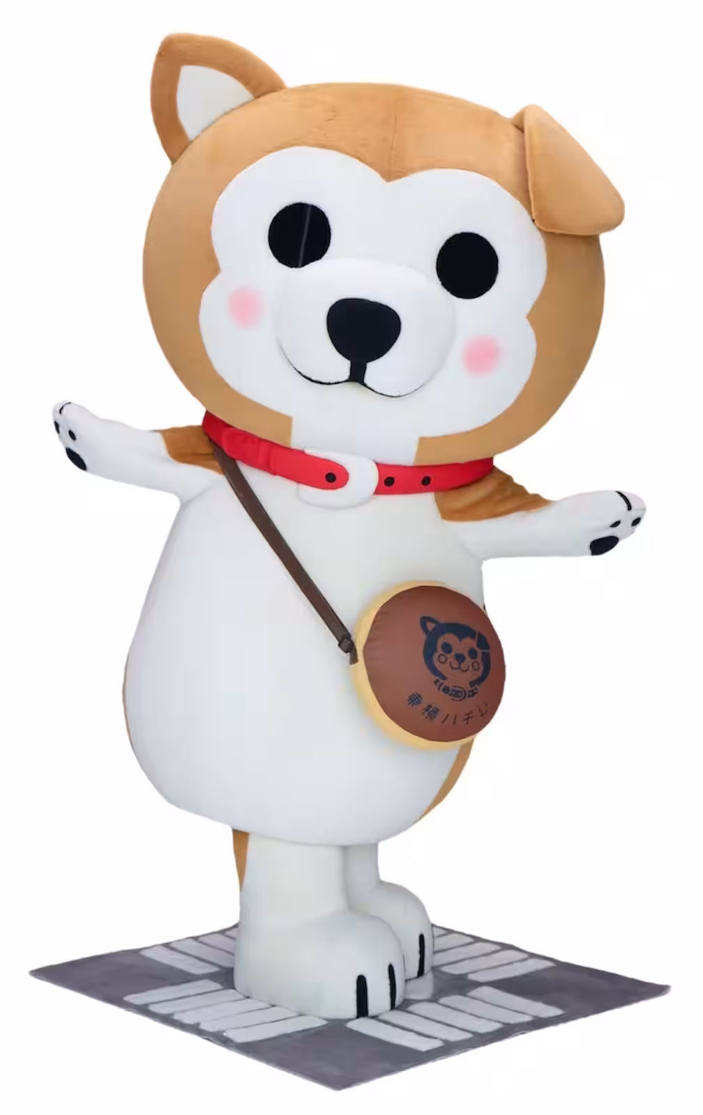 画像8